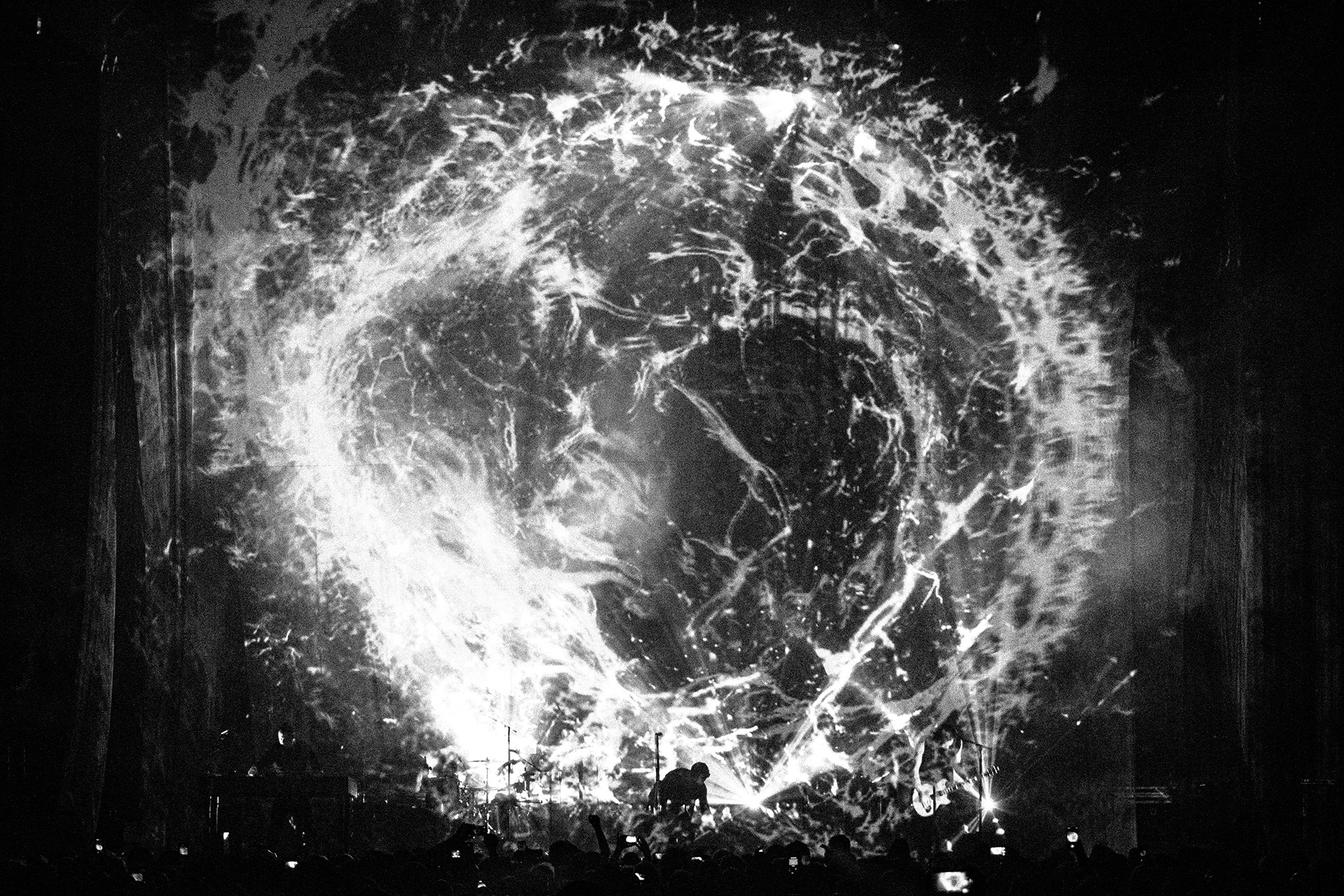 Peel It Back Tour Image 3